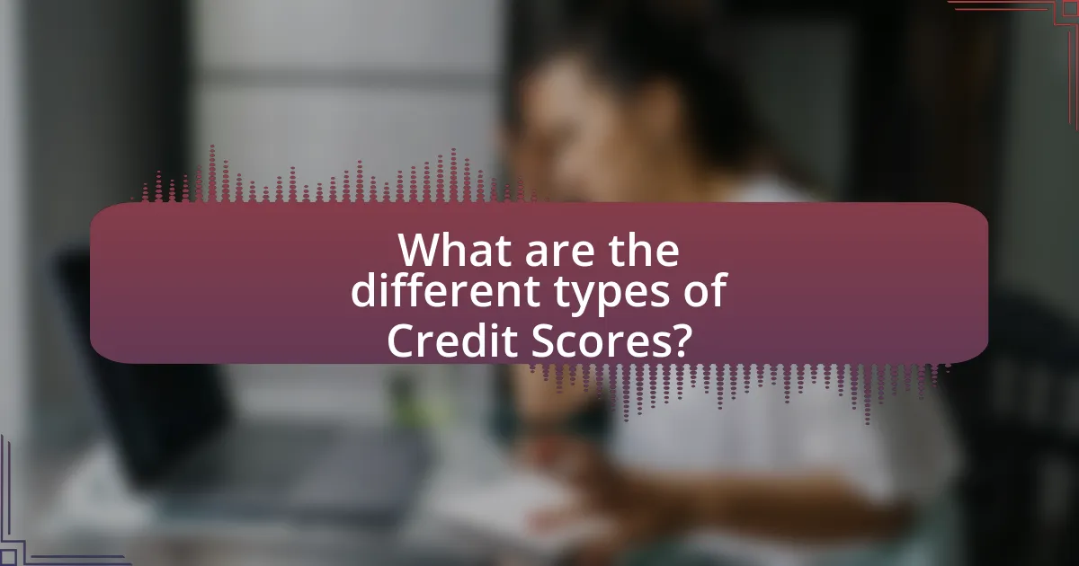 What are the different types of Credit Scores?